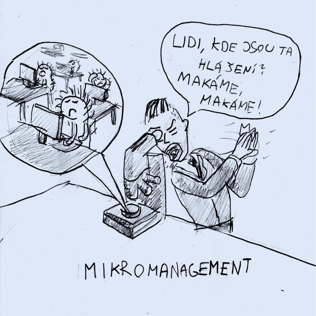 Mikromanagement
