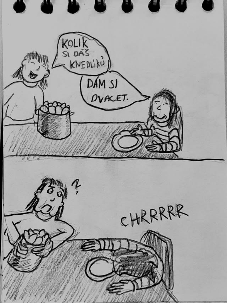 Dát si dvacet