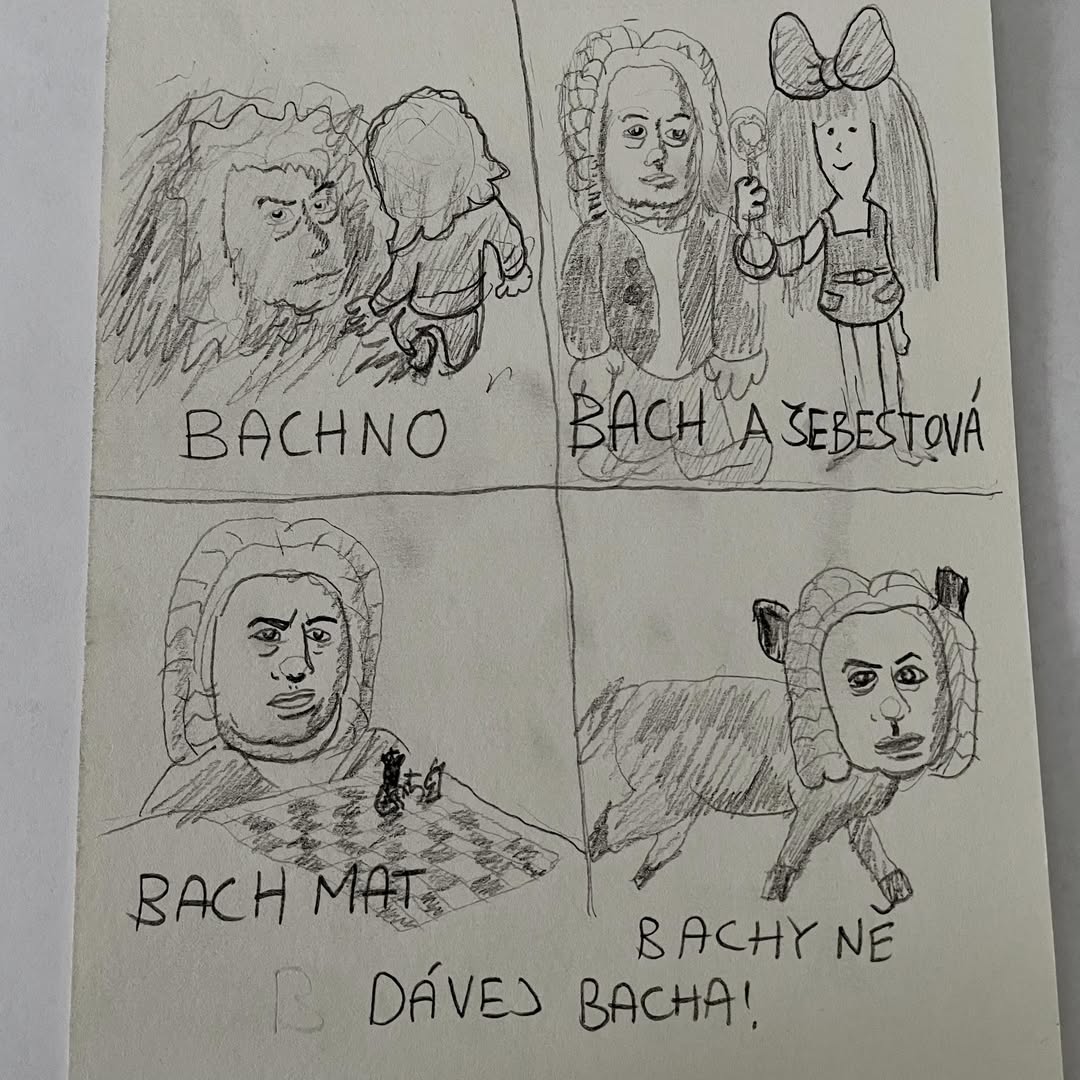 Dávej Bacha!