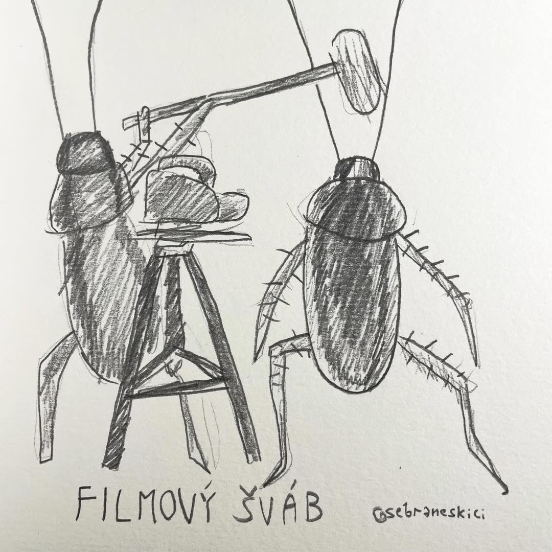 Filmový šváb