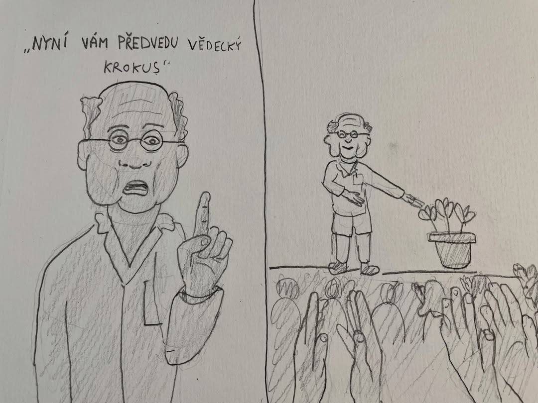 Vědecký krokus