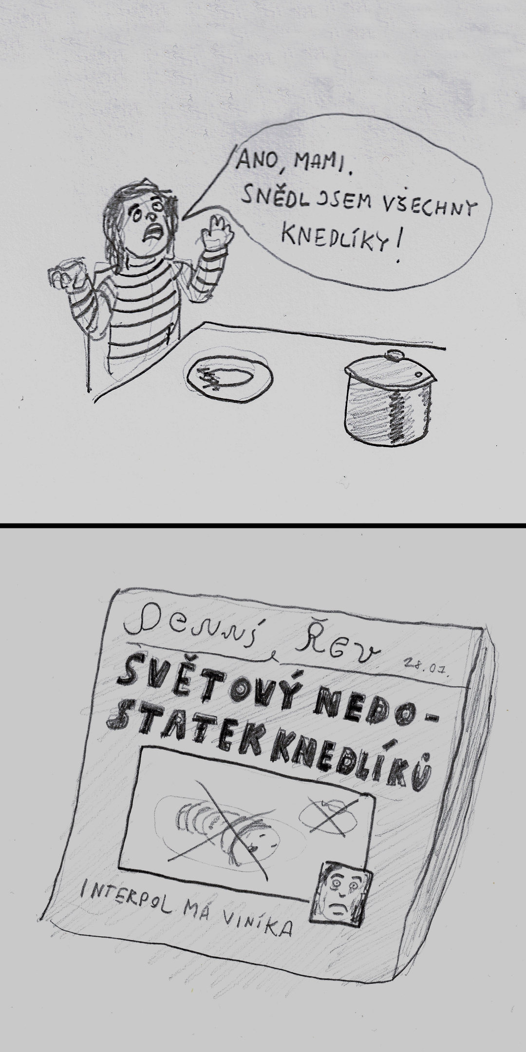Dojídání