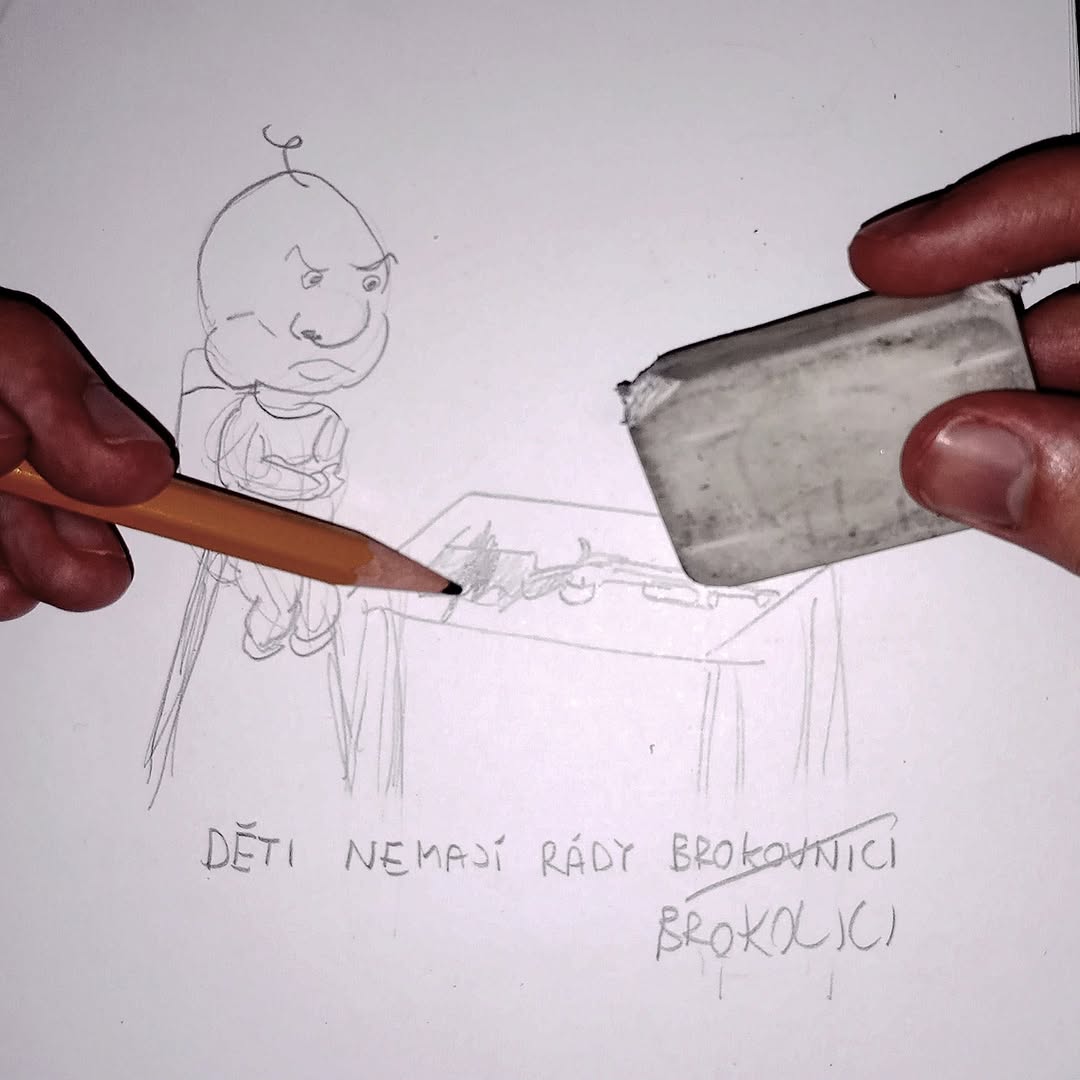 Záměna