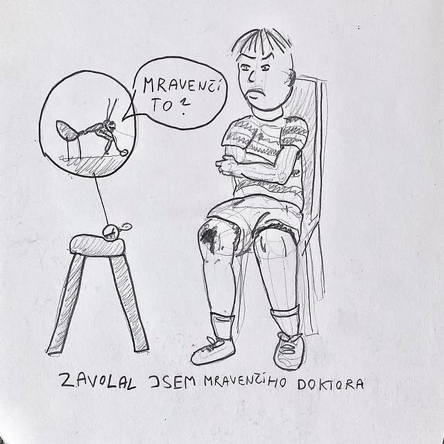 Zavolal jsem mravenčího doktora