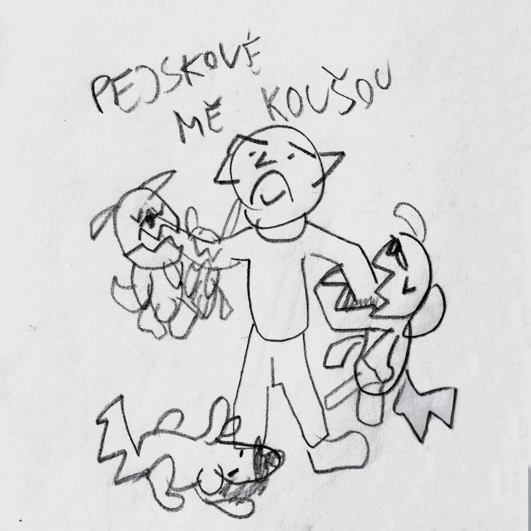Pejskové