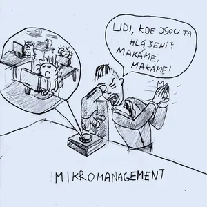 Mikromanagement
