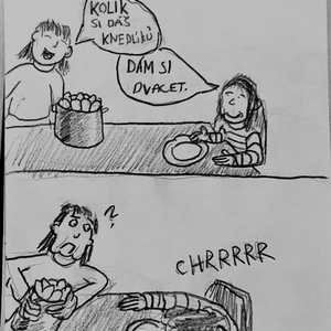 Dát si dvacet