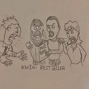 Knižní bestseller