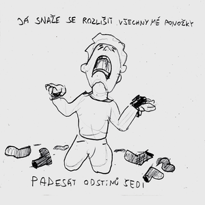 Padesát odstínů šedi
