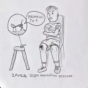 Zavolal jsem mravenčího doktora